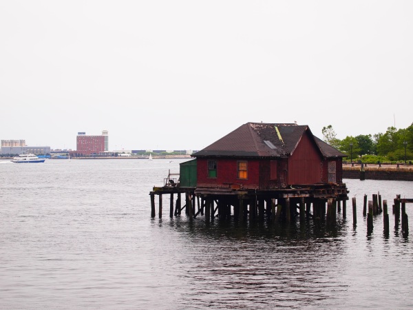 random house floating on water